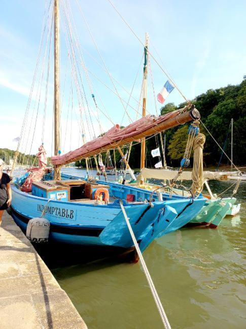 Tres Bel Appartement Avec Superbe Vue Sur Le Port De Saint Goustan Auray Exteriör bild
